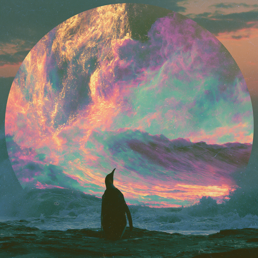 a lone penguin gazing upward a cosmicoceanic