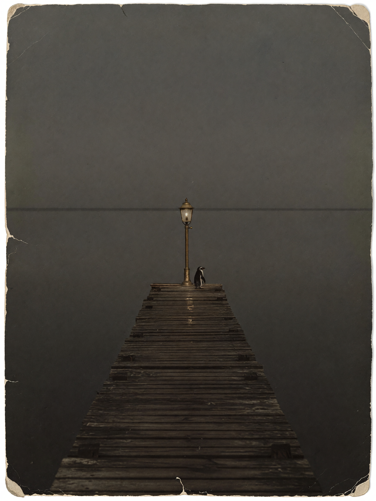 The long jetty — A small penguin stands with its back to the viewer at the foot of a single brass lamp on a weathered wooden jetty, shown in the faded tones of an old photograph.