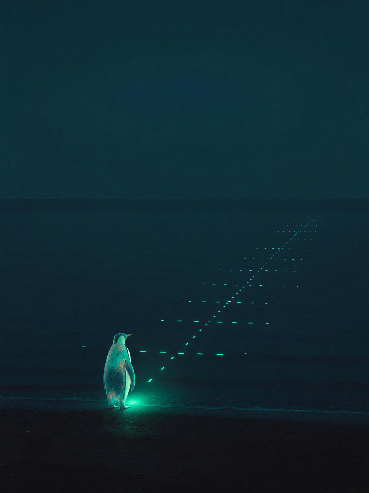 Morse across the Sounding — A small luminous penguin stands on a dark shore facing the horizon, with a single teal light pulsing outward from beside it.