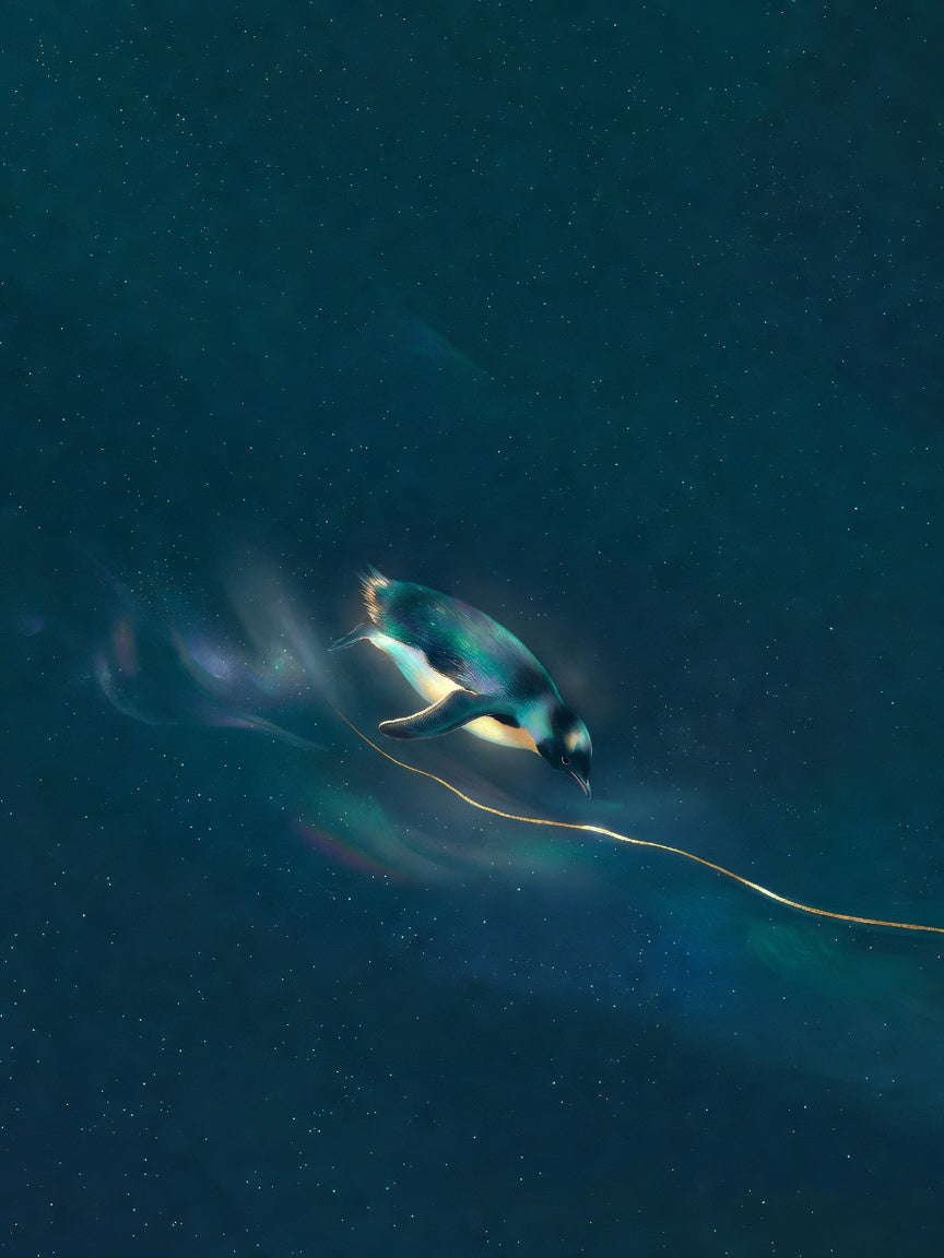 The Descent — first hairline seam — A lone luminous penguin in mid-dive against near-black navy with one thin glowing gold seam and teal bioluminescence from its body, heavy grain.