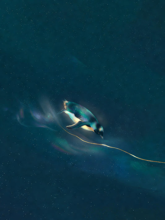 The Descent — first hairline seam — A lone luminous penguin in mid-dive against near-black navy with one thin glowing gold seam and teal bioluminescence from its body, heavy grain.