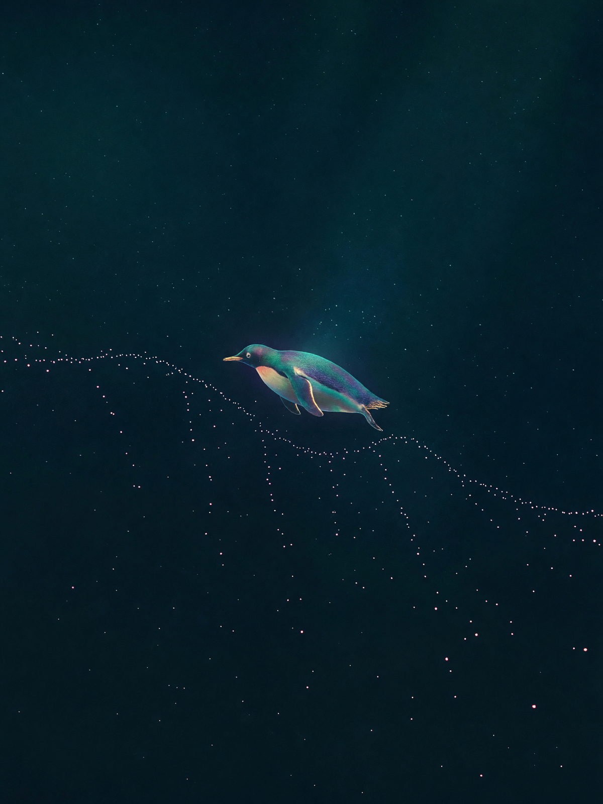 Falling light — A small glowing penguin moves left through deep teal space while scattered rose points of light fall around it in a gentle wave.
