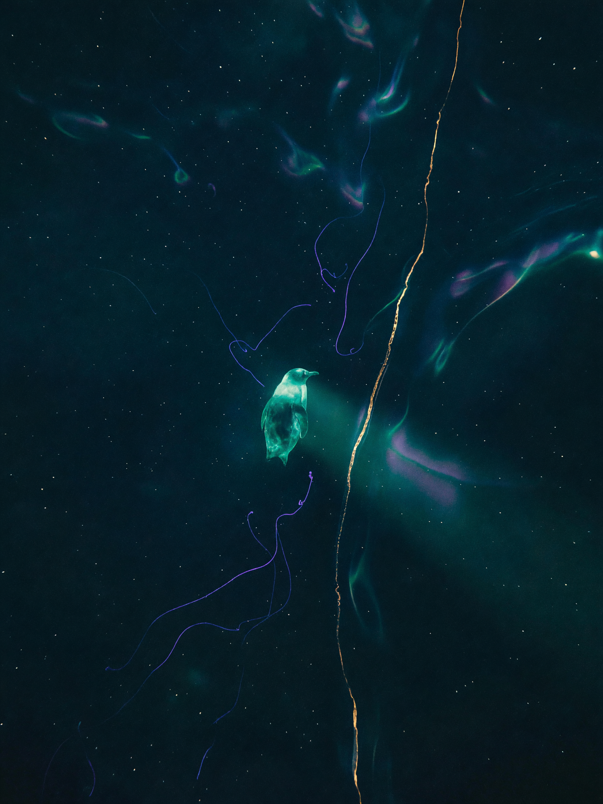 The first seam — A small glowing penguin descends through deep navy water, its teal light catching a thin gold line nearby.